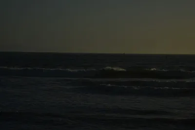 DSC_7265 (Large).JPG